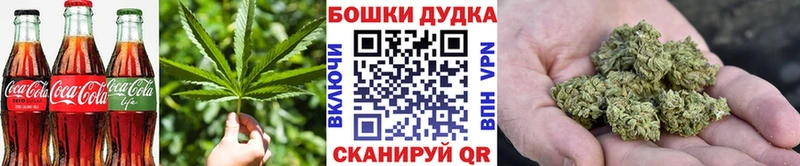 Canna-Cookies конопля  Купить  Прохладный 