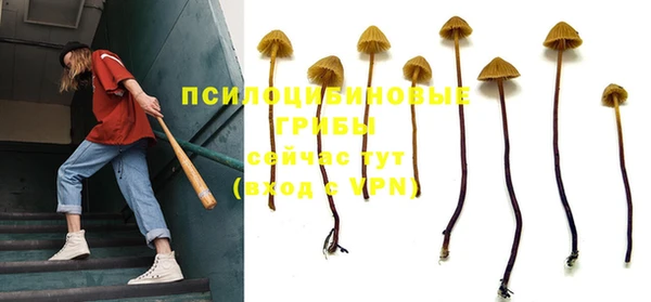 MESCALINE Богородицк