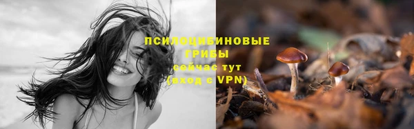 гашишное масло Богданович