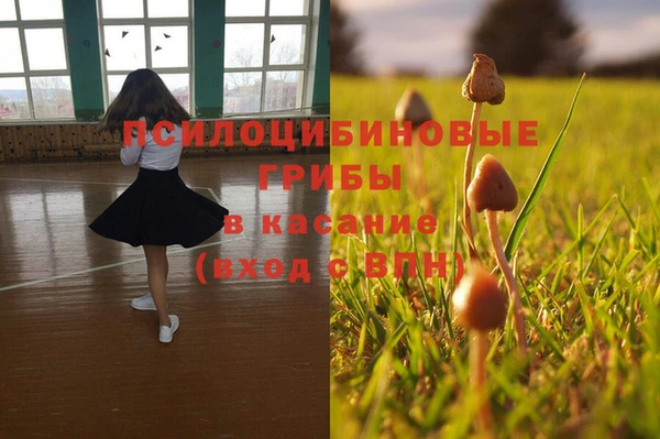 MESCALINE Богородицк